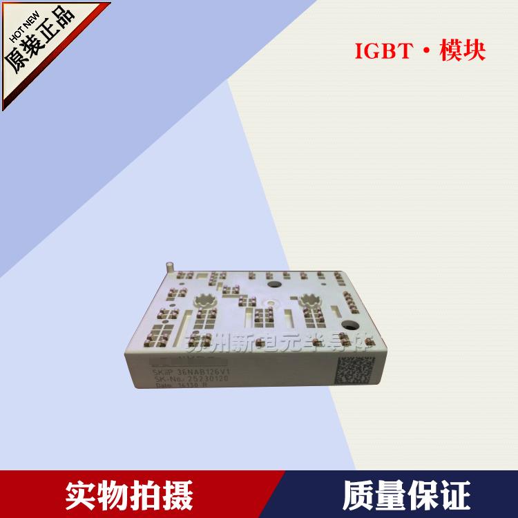 SKiiP38GB12F4V19