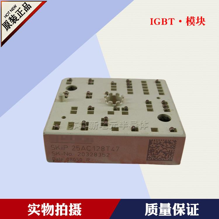 SKiiP25NEB066V1