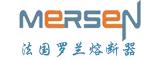 法國美爾森熔斷器